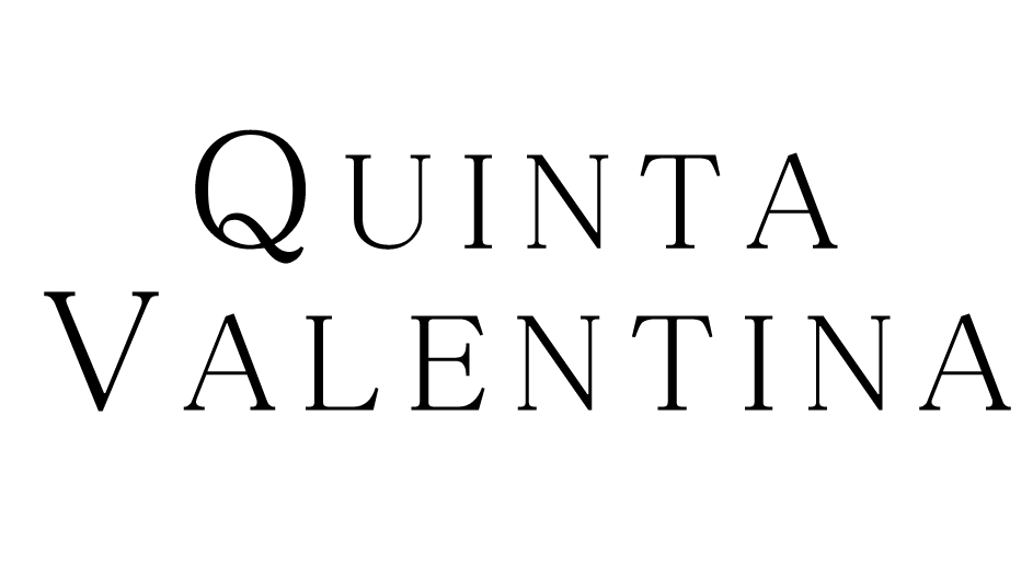 Quinta Valentina Caribbean Logo